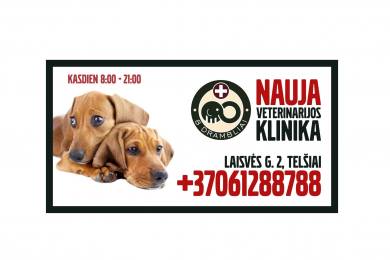 Birželio 1-ąją į Žemaitijos sostinę Telšius įžengia „8 drambliai” veterinarijos klinika. 