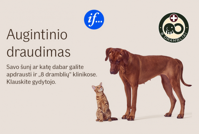 Nuo šiol mūsų klinikoje galite ne tik gauti pagalbą savo augintiniui, bet ir jį APDRAUSTI! Nuo šiol mūsų klinikoje galite ne tik gauti pagalbą savo augintiniui, bet ir jį APDRAUSTI!